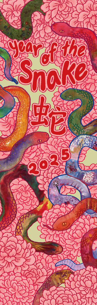 Year of the Snake banner for Chinatown, 2025. Project page here